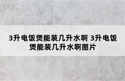 3升电饭煲能装几升水啊 3升电饭煲能装几升水啊图片